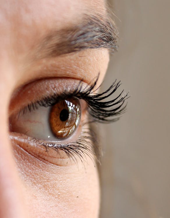 Hvilken Eyelash Serum skal du vælge og hvad kan Eyelash Serum?