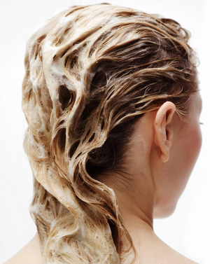 Nilens Jord - Shampoo